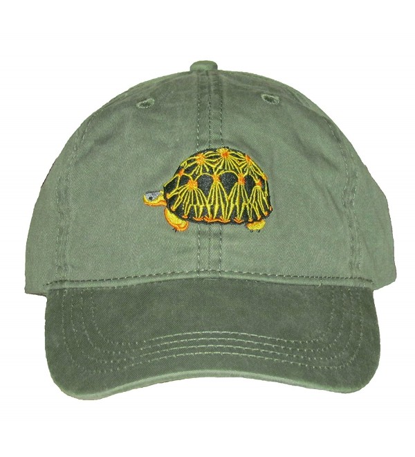 Radiated Tortoise Embroidered Cotton Cap - C7128PK1I7R